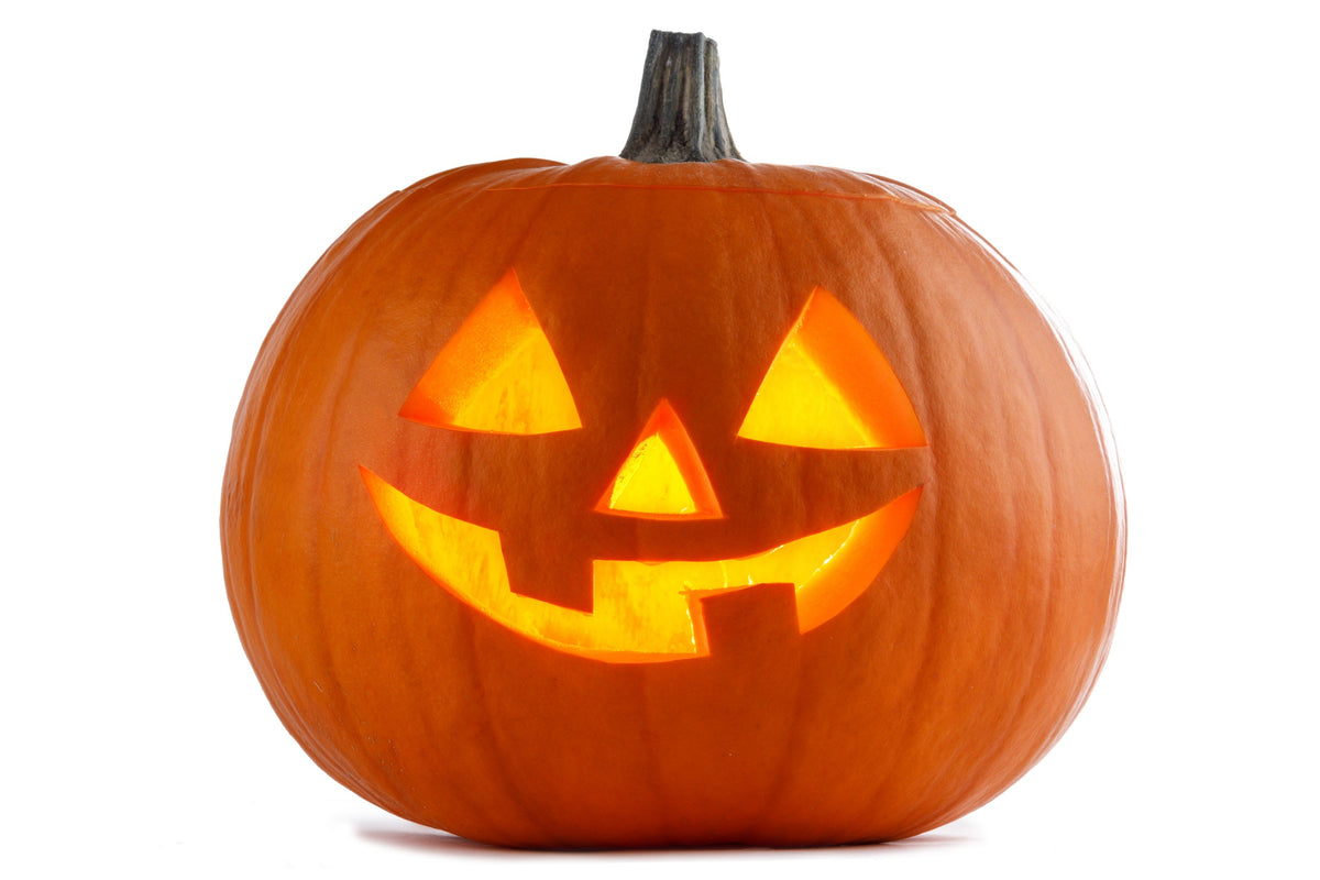 Jack O Lantern Pumpkin Cucurbita Maxima Vegetable Seeds – photo 3