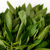 100 TOSSA JUTE Mallow Corchorus Olitorius African Sorrel Bush Okra Twine Vegetable Seeds
