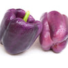 Purple Beauty Pepper Seeds – ( Sweet Mild Bell ) Capsicum Annuum Vegetable – photo 7