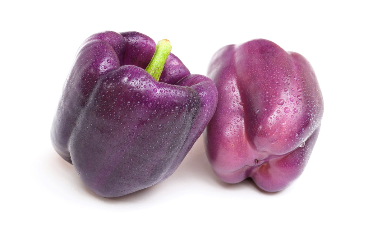 Purple Beauty Pepper Seeds – ( Sweet Mild Bell ) Capsicum Annuum Vegetable – photo 7