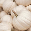 5 WHITE CASPER PUMPKIN White Skin Orange Flesh Cucurbita Maxima Vegetable Seeds