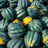 50 TABLE KING Acorn SQUASH Winter or Summer Cucurbita Maxima Vegetable Seeds