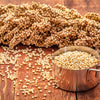 75 WHITE POPPING SORGHUM Bicolor Snack Vegetable Flour Grain Seeds