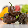 50 Hot BROWN HABANERO PEPPER Capsicum Chinense Seeds