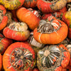 10 American TURKS TURBAN SQUASH Gourd Cucurbita Maxima Vine Seeds