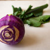 Purple Vienna Kohlrabi Seeds – Brassica Oleracea Gongylodes Vegetable – photo 11