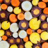 500 RAINBOW CARROT MIX White Red Yellow Purple Orange Daucus Carrota Seeds