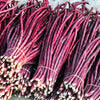 25 RED NOODLE BEAN Yard Long Asparagus Bean Chinese Phaseolus Vulgaris Legume Vegetable Seeds