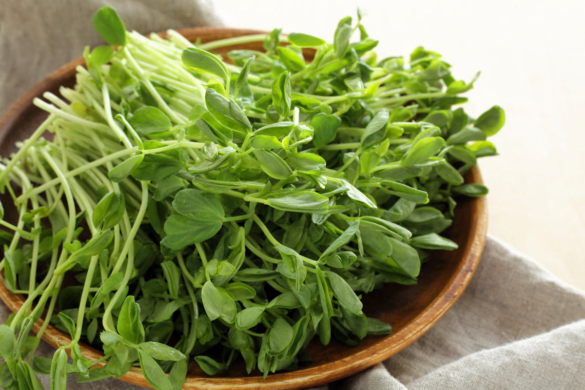 Super Sugar Snap Pea Seeds – Pisum Sativum Macrocarpon Vegetable – photo 6