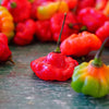Red Jamaican Hot Pepper Seeds – Capsicum Chinense Scotch Bonnet Vegetable – photo 7