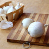 500 Sweet WHITE SPANISH ONION Allium Cepa Vegetable Seeds
