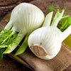 300 SWEET FLORENCE FENNEL Foeniculum Vulgare Azoricum Herb Vegetable Flower Seeds