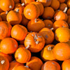 Small Sugar Pumpkin Seeds (Cucurbita pepo)