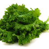 Old Fashioned Mustard Seeds – Ragged Edge Brassica Juncea Vegetable – photo 3