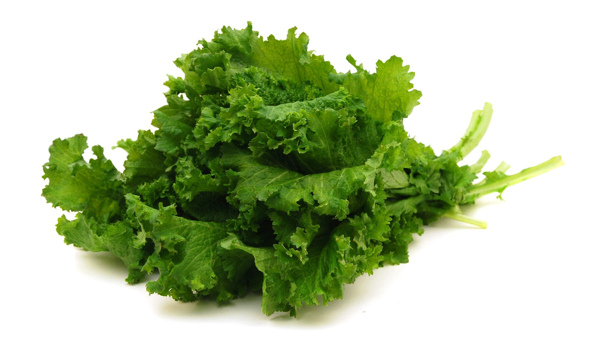 Old Fashioned Mustard Seeds – Ragged Edge Brassica Juncea Vegetable – photo 3