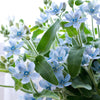 10 TWEEDIA BLUE MILKWEED Southern Star of Argentine Tweedia Caerulea syn. Oxypetalum Flower Vine Seeds