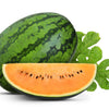 50 TENDERSWEET ORANGE WATERMELON Orange Flesh Citrullus Lanatus Fruit Melon Seeds