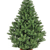 Grow Your Own CHRISTMAS TREE - Fraser Fir ( Abies Fraseri ) Gift Packet of Tree Seeds