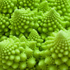 500 ROMANESCO BROCCOLI Broccoflower Roman Cauliflower Pyramid Broccolo Brassica Oleracea Vegetable Seeds