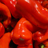 75 CUBANELLE PEPPER (Italian Sweets / Banana Pepper / Italian Frying Pepper) Capsicum Annuum Vegetable Seeds