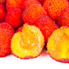 25 STRAWBERRY TREE Edible Red Berry Tree Arbutus Unedo Seeds Irish Killarney