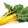 40 YELLOW CANARY SWISS CHARD Beta Vulgaris Perpetual Spinach Vegetable Seeds