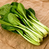 1500 SPINACH MUSTARD TENDERGREEN Komatsuna Greens Brassica Rapa Vegetable Seeds