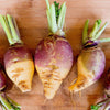 1500 American PURPLE TOP RUTABAGA Brassica Napus Root Vegetable & Greens Seeds