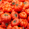 25 RUFFLED RED EGGPLANT Pumpkin On A Stick Edible & Ornamental Solanum Melongena Seeds