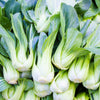 Canton Pak Choi Seeds – (Bok Choy / Chinese Cabbage) Brassica Rapa Chinensis Vegetable – photo 3