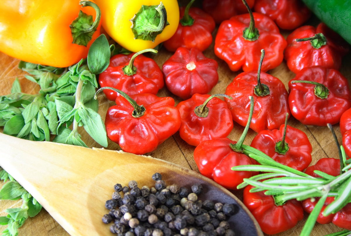 Red Jamaican Hot Pepper Seeds – Capsicum Chinense Scotch Bonnet Vegetable – photo 4