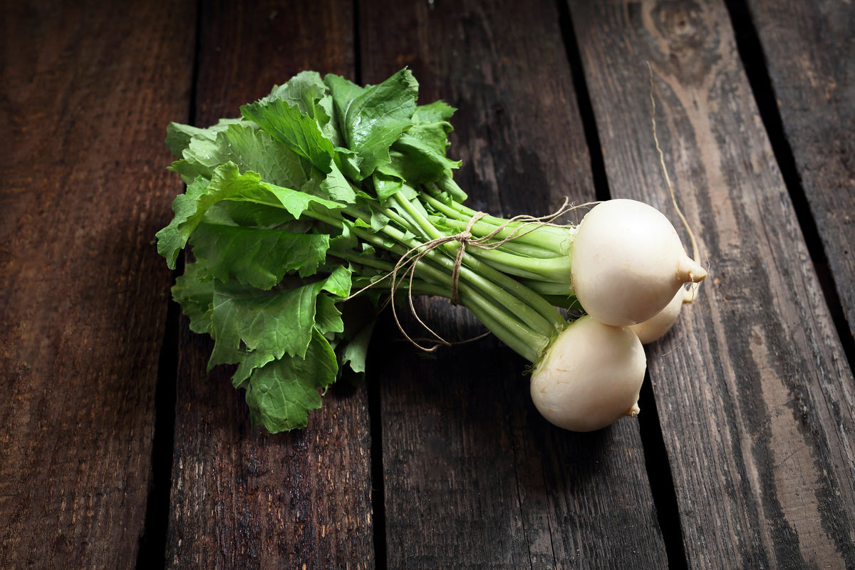 Hailstone White Globe Radish Seeds – Raphanus Sativus Vegetable – photo 6