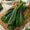 1500 LACINATO KALE Dinosaur Tuscan Black Brassica Oleracea Vegetable Seeds