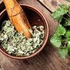 200 STINGING NETTLE Urtica Dioica (aka Common, California, or Bull Nettle / Tread Softly) Flower Seeds
