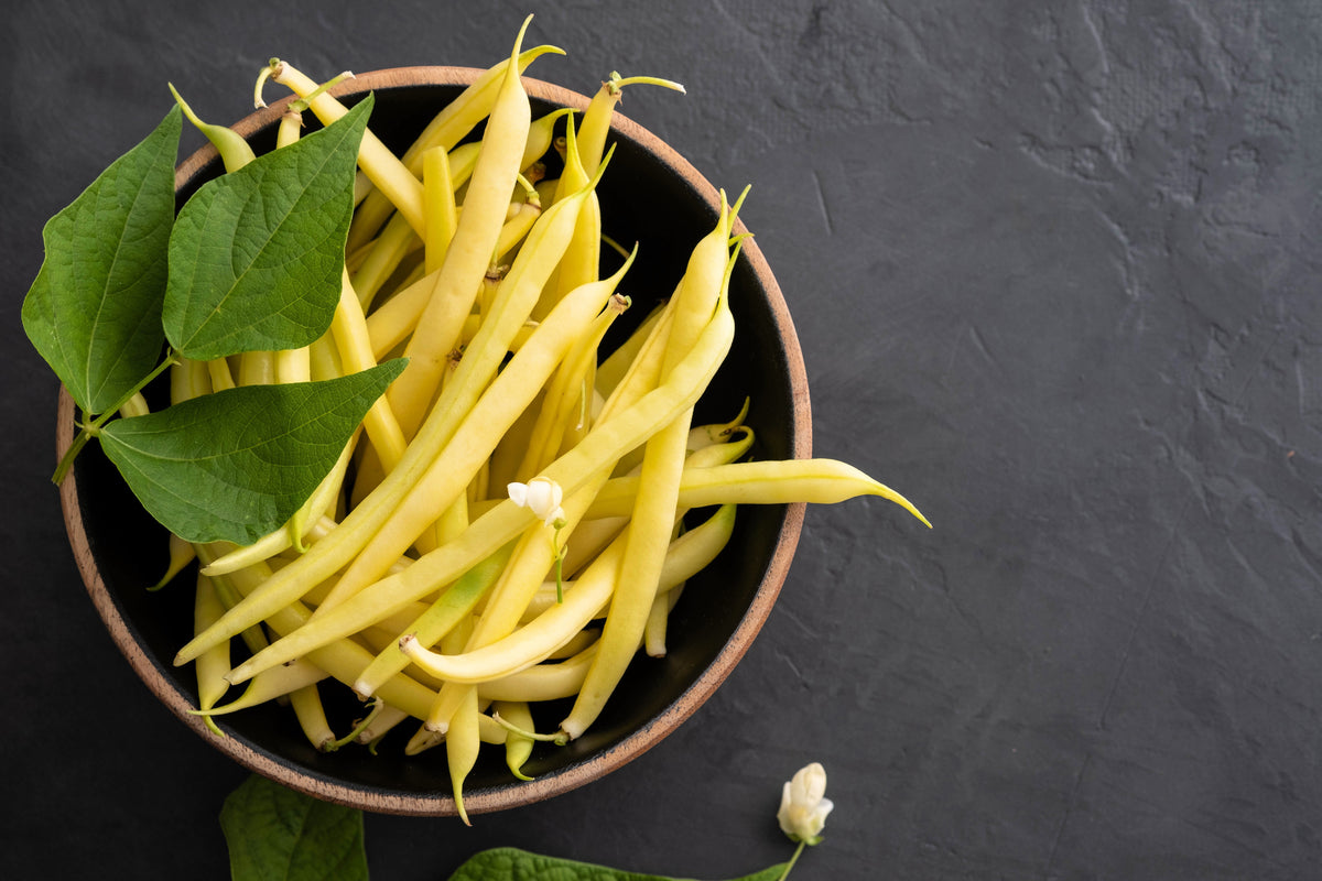 Goldrush Green Bean Seeds – Bright Yellow Wax Bean Phaseolus Vulgaris Vegetable – photo 4