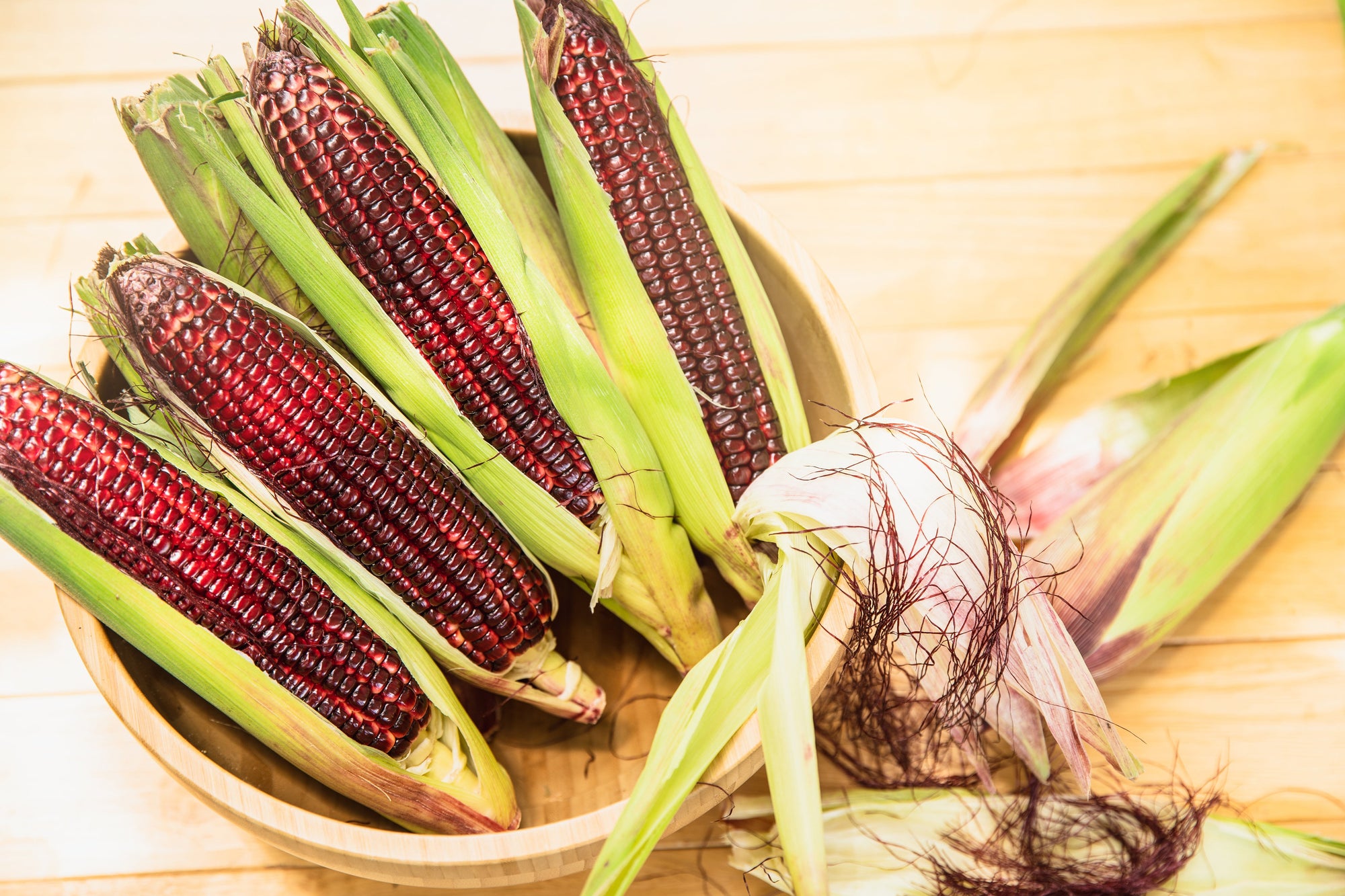 35 BLOODY BUTCHER Red CORN Edible & Ornamental Heirloom Zea Mays Vegetable Seeds