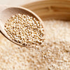 50 Organic MINT VANILLA QUINOA Green & White Chenopodium Vegetable Grain Seeds SuperFood