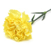 50 YELLOW CARNATION Dianthus Caryophyllus Grenadin Double Flower Seeds