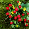 50 Edible Red MOCK STRAWBERRY Potentilla Indica Duchesnea Fruit Berry Seeds