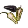 40 Organic PURPLE JALAPENO PEPPER Capsicum Annuum Hot Mexican Chili Vegetable Seeds