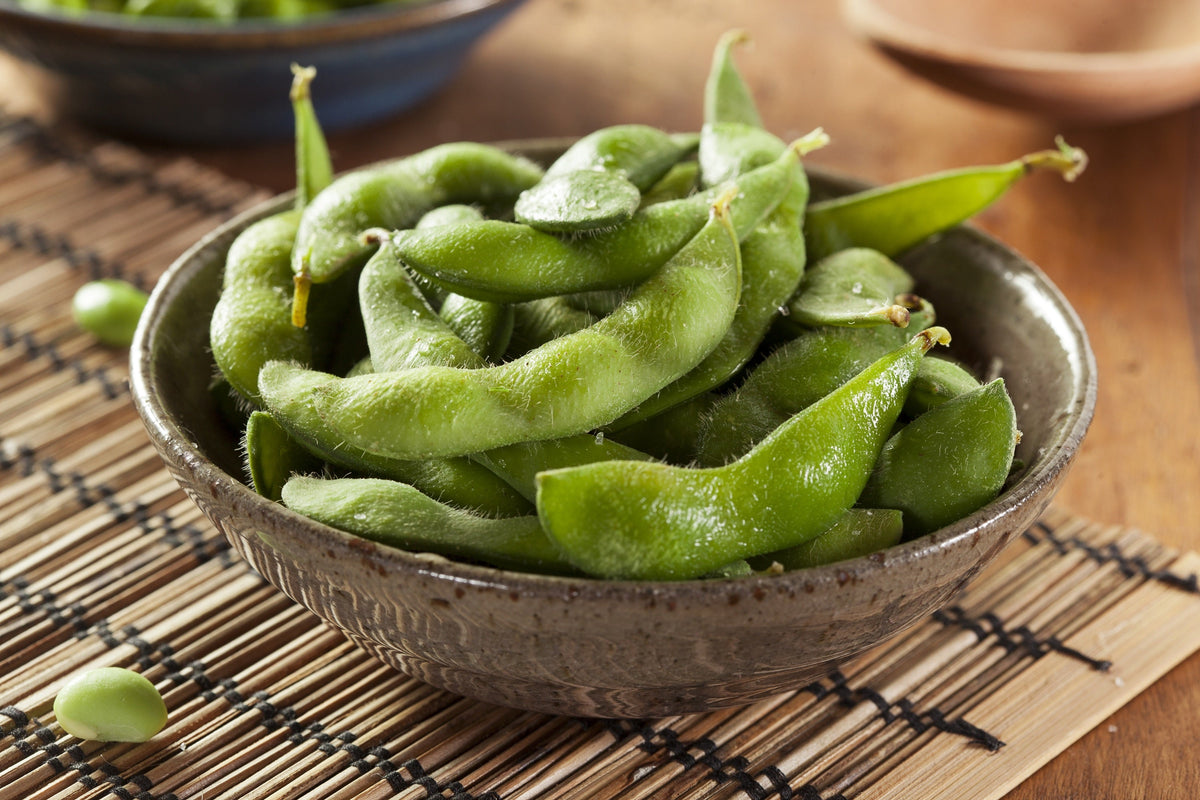Buttery Edamame Tohya Soybean Seeds – Pale Green Glycine Max Soy Bean Vegetable – photo 4