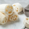 25 LUFFA SPONGE GOURD (Vegetable Sponge / Smooth Luffa / Sponge Loofa / Climbing Okra / Dishrag Gourd) Luffa Cylindrica Vine Seeds