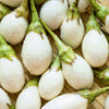 30 EASTER EGG PLANT (Easter Eggplant / Ornamental Eggplant / Nest Egg) Solanum Ovigerum Seeds