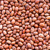 50 PINTO BEAN Phaseolus Vulgaris Vegetable Seeds