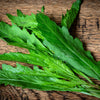 300 EPAZOTE (Mexican Tea) Chenopodium Ambrosioides  Dysphania Herb Flower Seeds