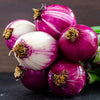100 SCARLET BANDIT Bunching ONION Red Allium Cepa Vegetable Seeds