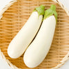 50 CASPER WHITE EGGPLANT Solanum Melongena Fruit / Vegetable Seeds
