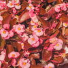 25 WAX MIXED BEGONIA Semperflorens Fibrous Mixed Colors Red Pink White Two Tone Shade Flower Seeds