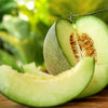 75 Green Flesh ROCKY FORD CANTALOUPE Muskmelon Cucumis Melo Melon Fruit Seeds