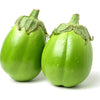 50 Green AO DAIMARU EGGPLANT Solanum Melongena Japanese Asian Aubergine Fruit Vegetable Seeds